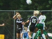 1200v.jpg (11593 bytes)